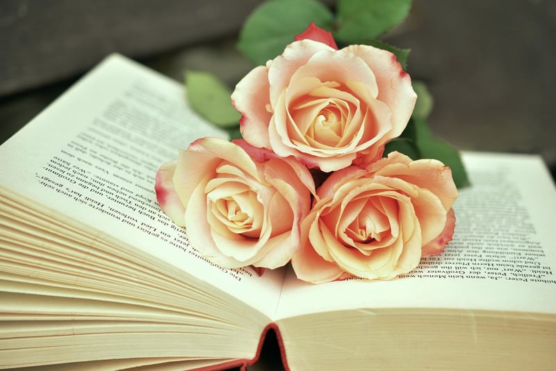 Antique Book Collection