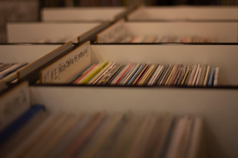 Vintage Vinyl Records